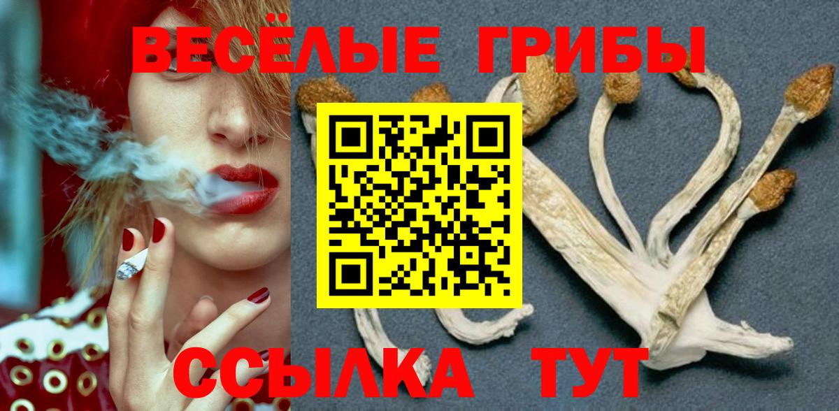 Сыктывкар  Галлюциногенные грибы Magic Shrooms  Вход с VPN 